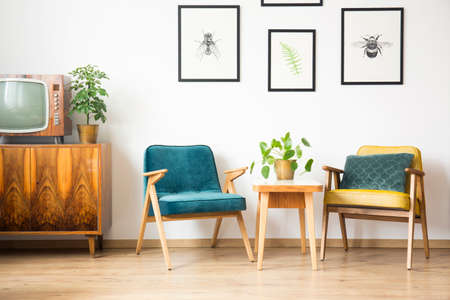 Close-up of two vintage armchairs standing next to a wooden table with a plant on it in bright living room interiorの写真素材