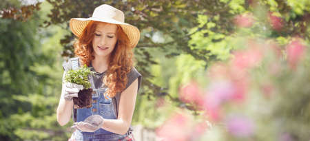 Young woman in a straw hat, carefully replanting an herbの写真素材