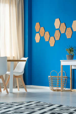 Minimalist dining room interior in blue and white with chairs, tables, plant, curtains and cork on the wallの写真素材