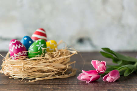 Colorful painted eggs in a nest on wooden table with pink tulipsの写真素材
