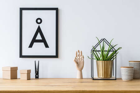Close-up of fresh green plant in gold pot standing on a wooden desk with boxes and decor in bright interiorの写真素材