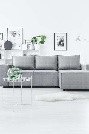 Grey couch in elegant living room interior with plant on silver table and posters on the wallの写真素材
