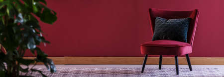 Panorama of black pillow on red armchair against wall with copy space in living room interiorの写真素材