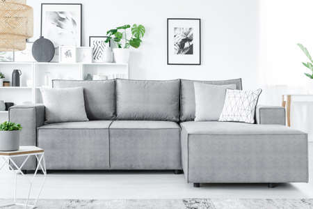 Grey corner sofa in living room interior with posters on white wall and plant on shelf