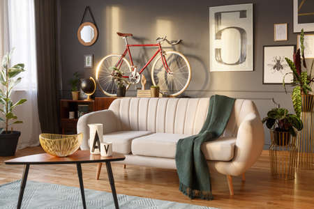 White sofa with a wool blanket, wooden coffee table and red bike in a grey living room interiorの写真素材
