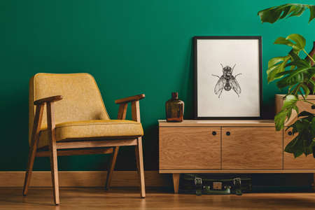 Classy minimalist living room interior with a framed insect poster on a wooden dresser, yellow armchair and monstera plantの写真素材