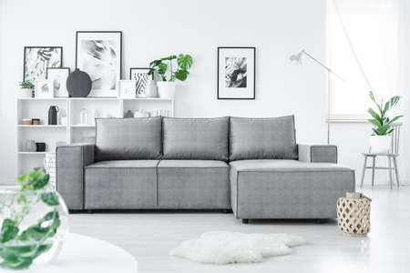 Grey corner sofa standing in white living room interior with fresh green plants and many postersの写真素材