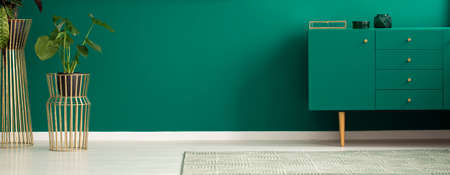 Panorama of a luxurious apartment interior with green walls, golden plant stands and a modern teal sideboardの写真素材