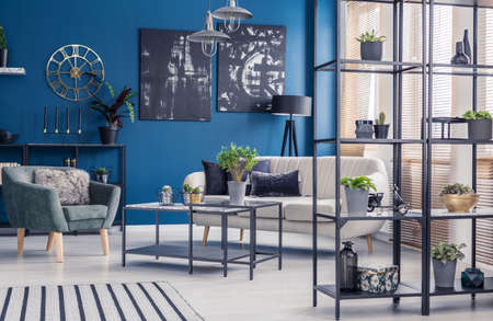 Plants on shelves in navy blue living room interior with green armchair and beige sofaの写真素材