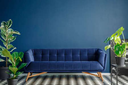 Navy blue settee against the wall with copy space in dark living room interior with plants on checkerboard floorの写真素材