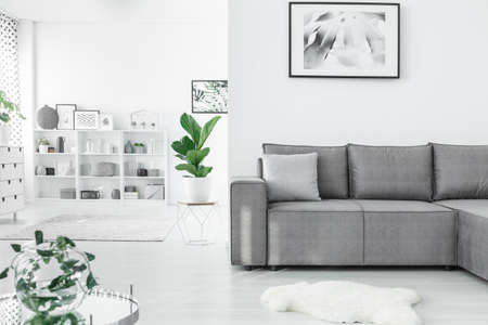 Open space living room interior with a grey corner sofa, plants and white shelves in the background
