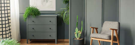 A grey chair and cactus standing in front of a screen and next to a cupboard with plants around them in botanic room interiorの写真素材