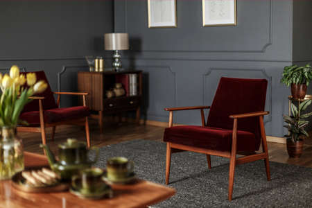 Real photo of a wine red armchair standing in the middle of an elegant, dark living room interior with gray rug and walls with moldingの写真素材