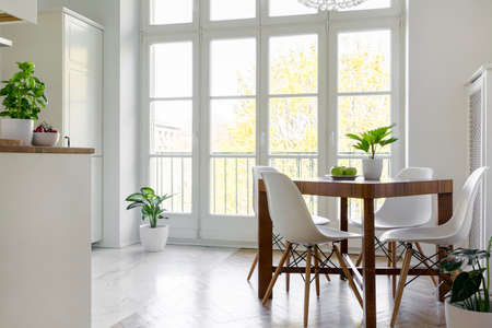 White chairs at wooden table with plant in bright dining room interior with window. Real photoの写真素材