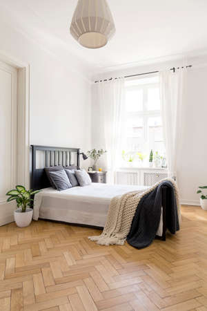 Plant next to bed with blanket and cushions in spacious bright bedroom interior. Real photoの写真素材