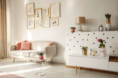 Side angle of a living room interior with white sofa, coffee table, cabinet, art collection and plantsの写真素材