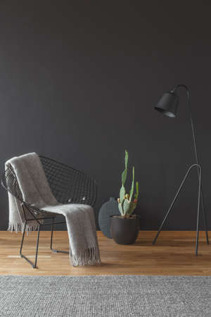 Grey blanket on armchair next to a cactus and lamp in minimal black living room interior with rugの写真素材