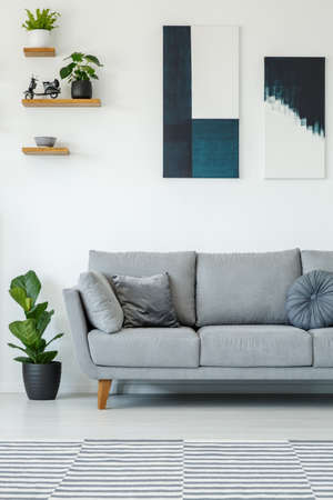 Plant next to grey sofa in white simple living room interior with posters on the wall. Real photo