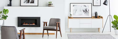 White living room interior with grey armchairs, simple posters, fresh green plants, wooden cupboard and fireplaceの写真素材