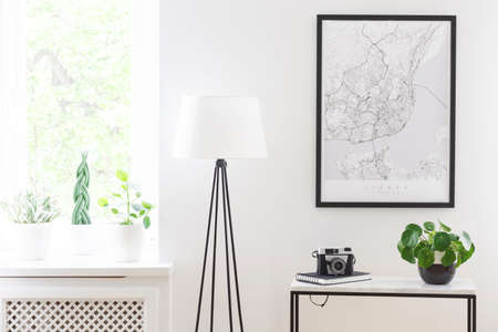 Poster above table with camera and plant next to lamp in living room interior with window. Real...