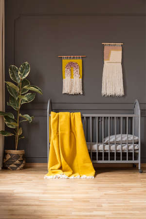Yellow blanket on baby's bed in grey bedroom interior with ficus and decor on the wall. Real photoの写真素材