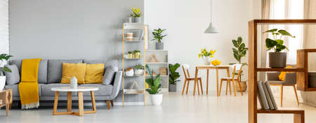 Real photo of a spacious living room interior with a sofa behind a table and next to a shelf, table...