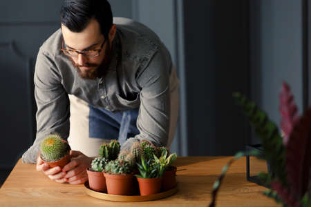 Gardener holding cactus next to plate with succulents while working in the orangeryの写真素材