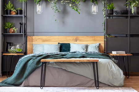 Hairpin bench standing by the king-size bed with many cushions and green blanket in grey bedroom interior with lamps and fresh plantsの写真素材