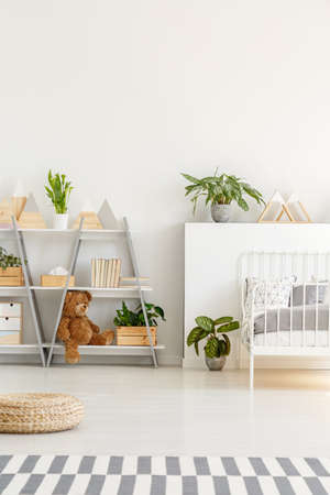 Fresh green plants placed in real photo of bright scandi teenager room interior with wooden grey racks with books and teddy bear and metal bedの写真素材