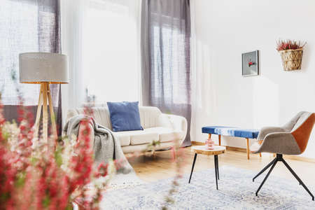 Grey armchair and beige sofa with blue cushion in living room interior with heather