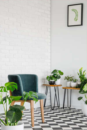 Green chair on checkered floor in white living room interior with poster and plants. Real photoの写真素材