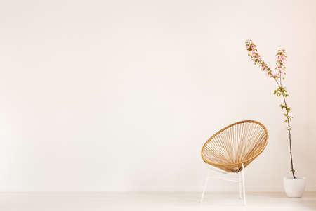 Flower behind gold armchair in white empty living room interior with copy space on the wall. Real photo with a place for your furnitureの写真素材