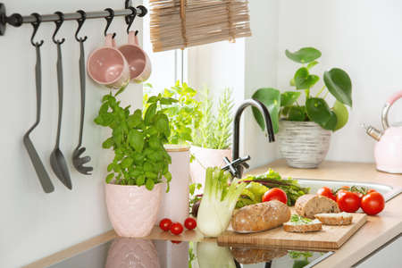 Rye bread on a cutting board, tomatoes and vegetables on a white kitchen interior countertop with Basil herbs in a pink potの写真素材