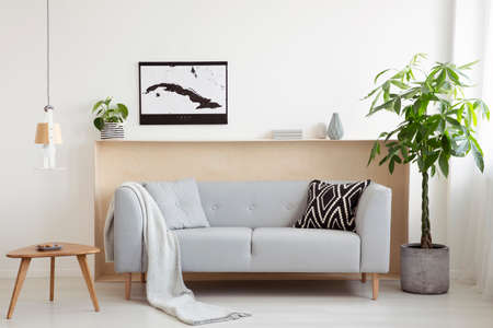 Grey sofa between plant and wooden table in bright living room interior with poster. Real photoの写真素材