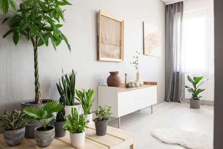 Plants next to white cupboard under burlap artwork in bright living room interior with window. Real...