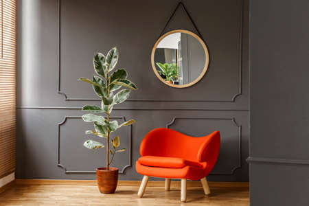 Round mirror hanging on the wall with molding in real photo of dark sitting room interior with orange armchair and fresh potted plantの写真素材