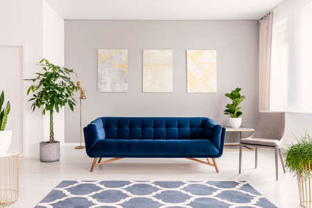 Real photo of a comfy couch next to a plant and chair in a living room interior. Paintings in the backgroundの写真素材