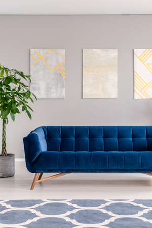 Real photo of a modern sofa, patterned rug, plant and posters on the wall in a living room interiorの写真素材