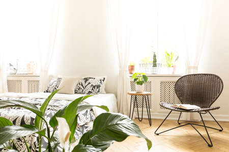 Sunny bedroom interior with a bed, a rattan chair and green plants. Flare background. Real photo.の写真素材