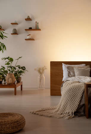 Plants on a low table, pouf, bed with blanket and empty wall in a bedroom interior. Real photo. Place your painting hereの写真素材