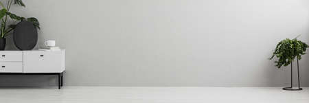 Panorama of a black vase on a white cabinet with drawers and green plants in an empty living room interior with gray wall and place for a sofaの写真素材