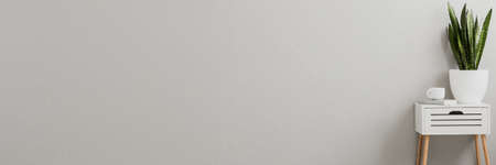 Plant on a white, scandinavian side table with wooden legs in a minimalist living room interior with gray wall and copy space place for furnitureの写真素材