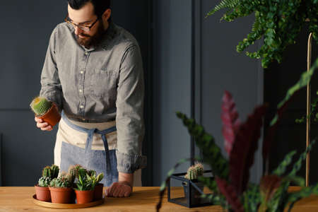 Man with gardening passion putting a cactus with other succulents on a golden tray