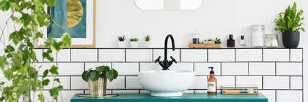 Green cabinet with fresh plant, bottle with soap and white sink with black tap in real photo of bright bathroom interiorの写真素材