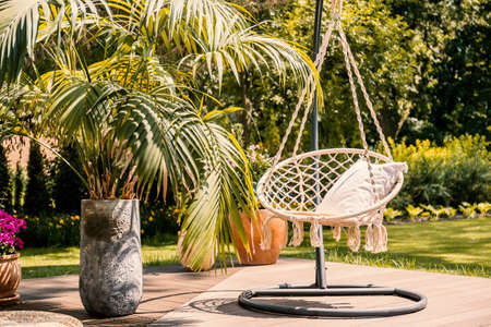 Palm next to hanging chair with cushion on patio in the garden during summer. Real photoの写真素材