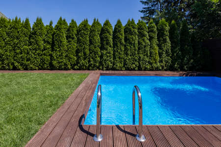 Swimming pool in the garden with trees and green grass during summer. Real photo