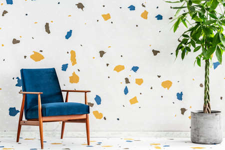 Blue wooden armchair and plant in modern living room interior with colorful wallpaper. Real photo