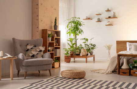 Grey armchair and pouf on carpet in modern open space interior with bed and plants. Real photoの写真素材