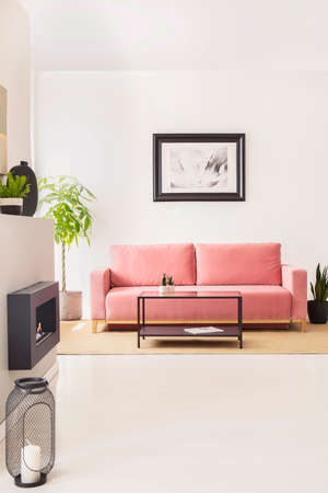 Pink couch against white wall with poster in bright living room interior with plants. Real photoの写真素材