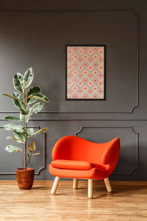 Ficus next to orange armchair against grey wall with poster in modern flat interior. Real photo
